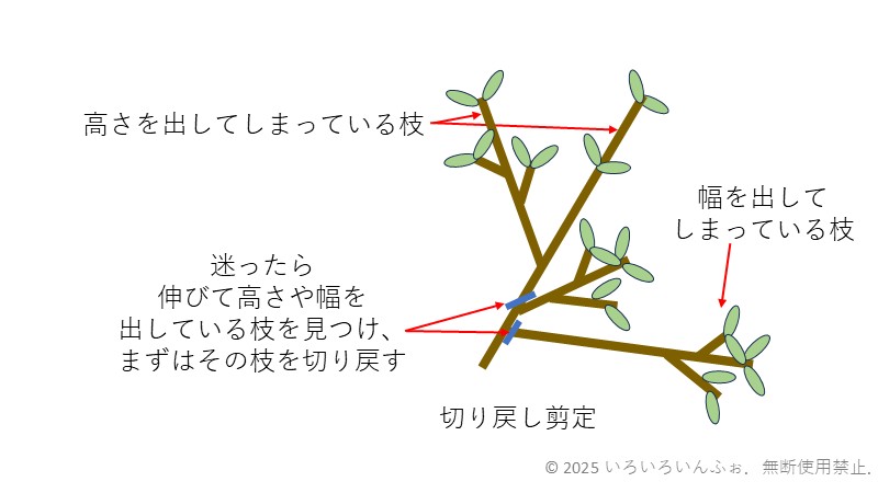 迷った時の切り戻し剪定の例を示した図