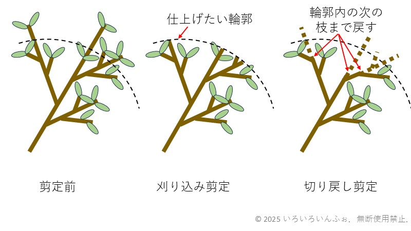 刈り込み剪定と切り戻し剪定の違いを説明した図