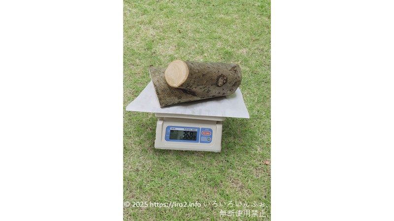 24cmの長さの幹の一部を秤で計量しているシーン