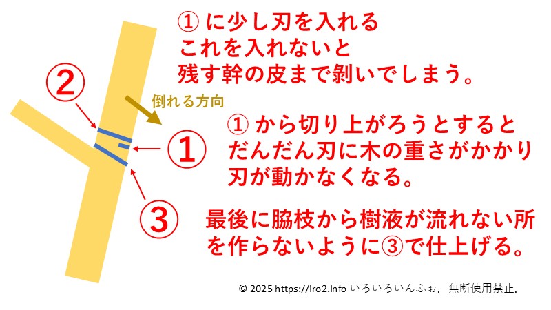 木の切り方。3回刃を入れる。