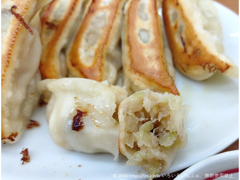餃子の断面